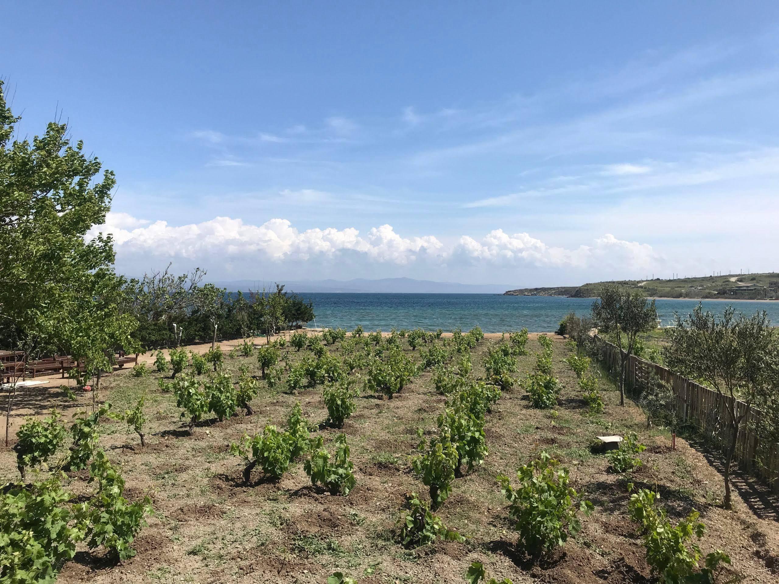 Arsipel Otel Bozcaada Dış mekan fotoğraf